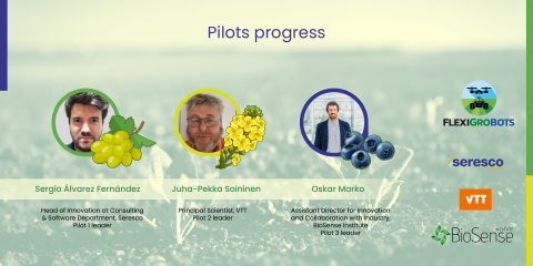 Pilots progress banner