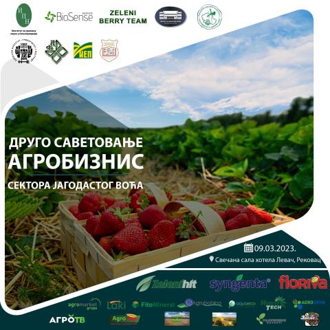 Second conference of the berry fruit agrobusiness sector