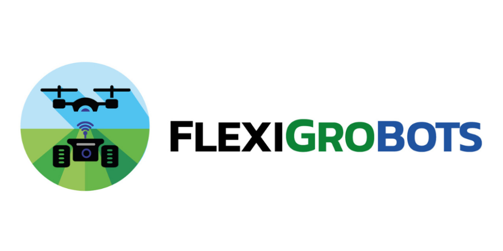 Logo Horizontal - Color