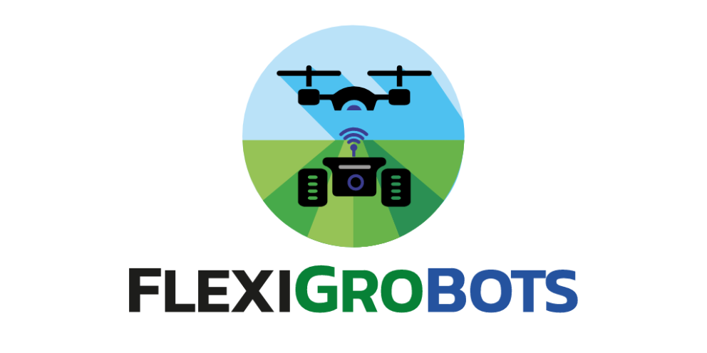 Color Logo - Squared version