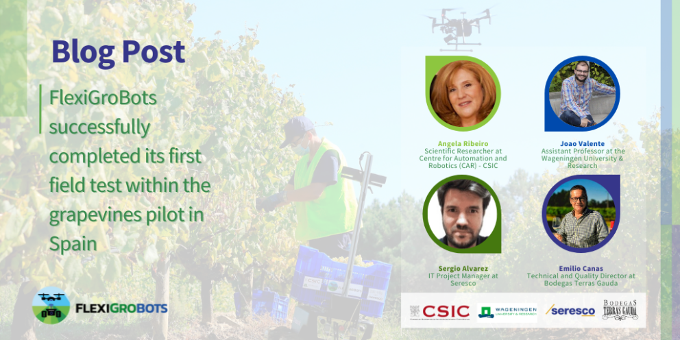 Banner_Blog Post PIlot 1 