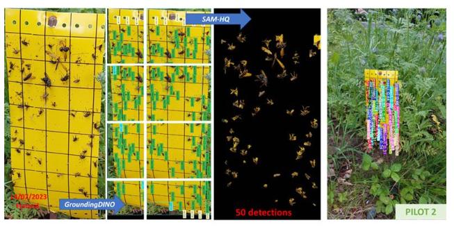 Common Applications and Rigorous Validation