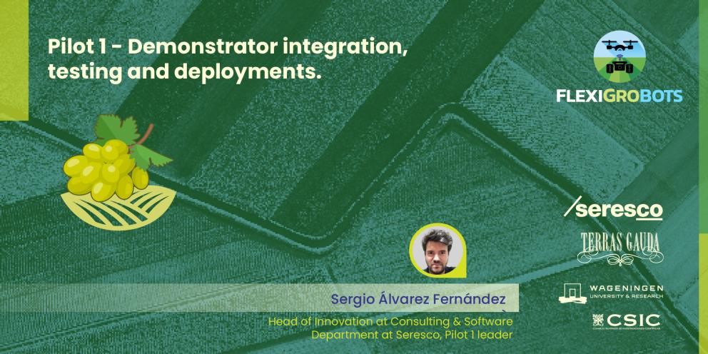 Pilot 1 - Demonstrator integration, testing and deployments.