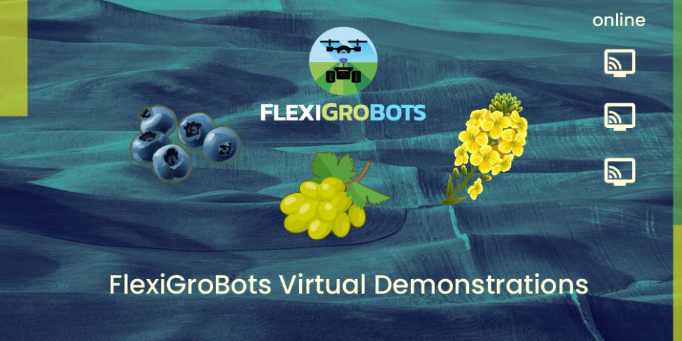 virtual_demonstrations