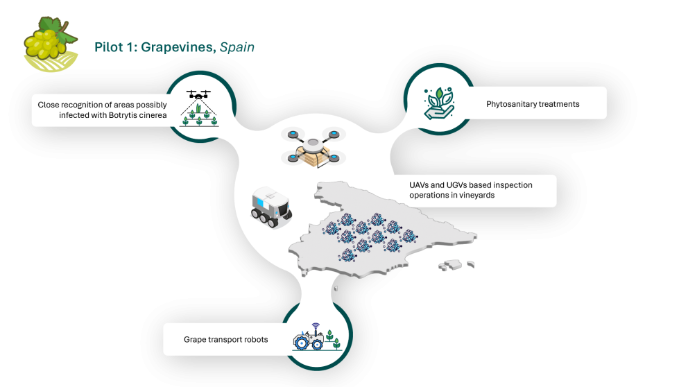 Pilot 1: Grapevines, Spain