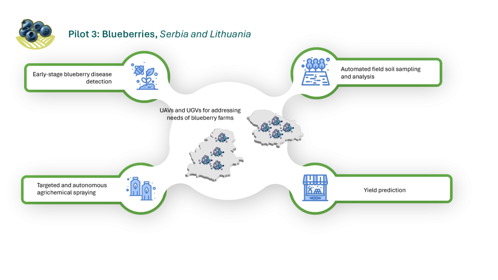 Pilot 3: Blueberries, Serbia and Lithuania