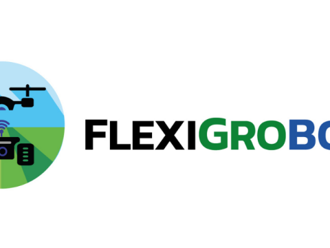 Logo Horizontal - Color