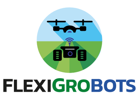 Color Logo - Squared version