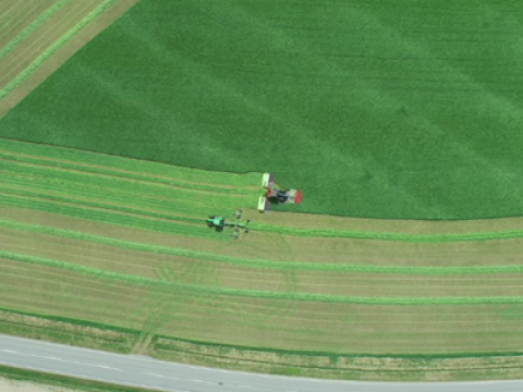 Drone image of mower and windrower doing silage harvesting.