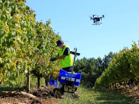 Harvesting robot and drone
