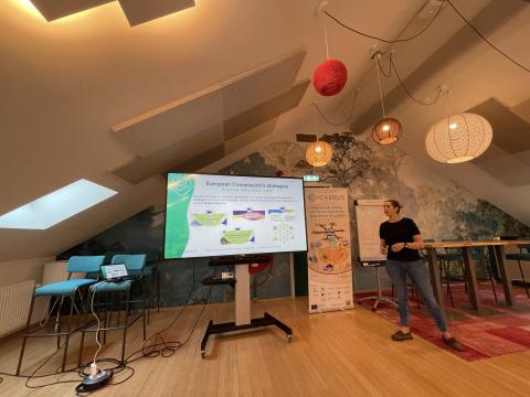 Drones – EU Projects Synergies